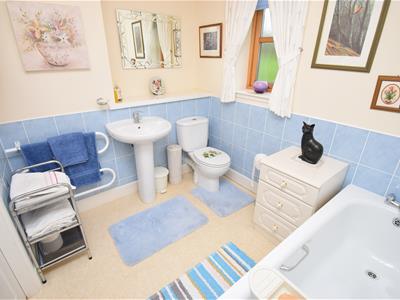 Picture 15